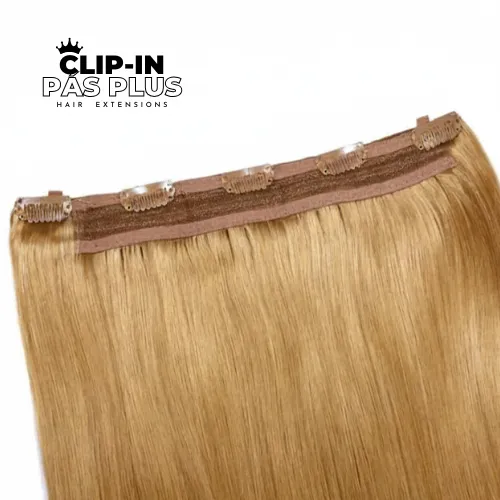 clip_in_pas_plus_jahodovablond