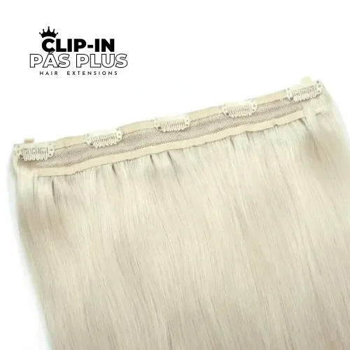 Clip_in_pas_plus_ladovablond