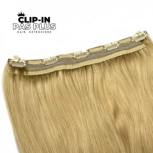 clip_in_pas_plus_pieskovablond