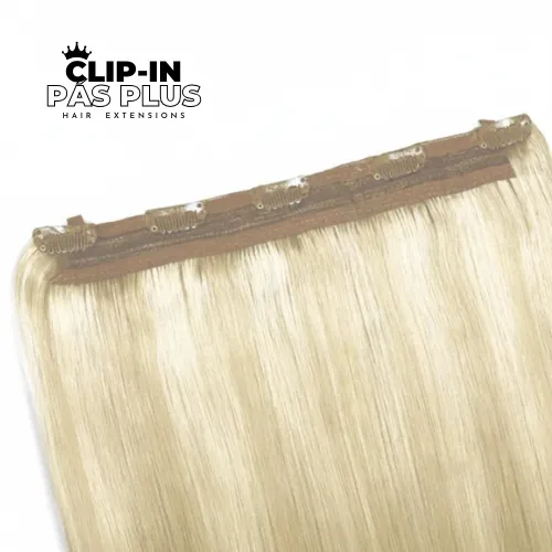 Clip_in_pas_plus_platinovablond