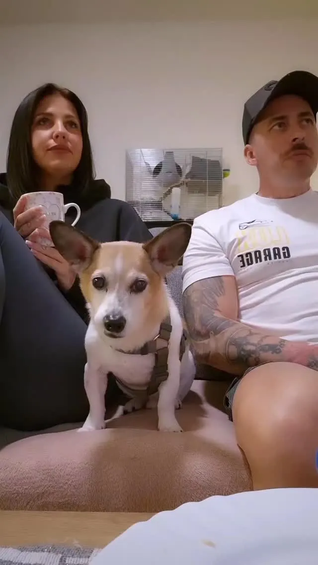 Bude to fér? 😃🤪 #funny #funnyvideos #couple #doglover #funnycouple #fer #nanicvlasysk #nanicvlasy