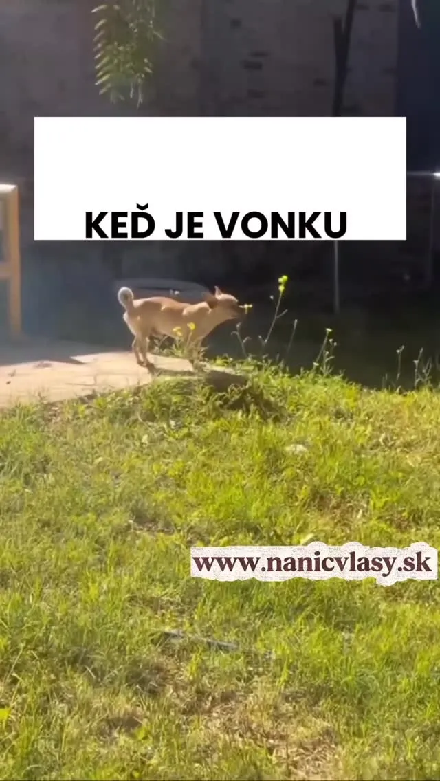 Kto to má rovnako? 😅🌼🧘‍♀️ #funnyreels #funny #sping #jar #nanicvlasysk