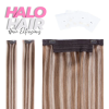 Halo_Hair_Extensions_odtieň_melír_#14/22