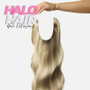 Halo_Hair_Extensions_odtieň_melír_#60_101