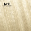 Clip_in_pas_plus_platinovablond
