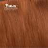 clip-in-pas-plus-rysava-350