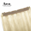 Clip_in_pas_plus_platinovablond