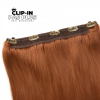 Clip_in_pas_plus_rysava